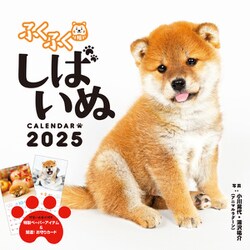 ふくふくしばいぬ(インプレスカレンダー2025) [カレンダー]