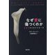 なぜ愛に傷つくのか―社会学からのアプローチ [単行本]