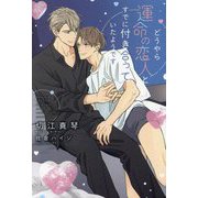 どうやら運命の恋人とすでに付き合っていたようです(新書館ディアプラス文庫) [文庫]