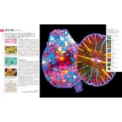 ヨドバシ.com - 地球博物学大図鑑 新訂版 [図鑑] 通販【全品無料