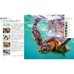ヨドバシ.com - 地球博物学大図鑑 新訂版 [図鑑] 通販【全品無料