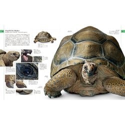 ヨドバシ.com - 地球博物学大図鑑 新訂版 [図鑑] 通販【全品無料