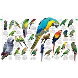 ヨドバシ.com - 地球博物学大図鑑 新訂版 [図鑑] 通販【全品無料