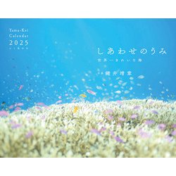 しあわせのうみ 世界一きれいな海カレンダー 2025 [カレンダー]