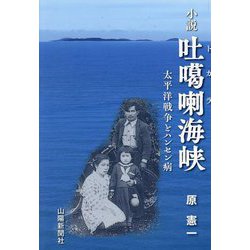 小説吐噶喇海峡―太平洋戦争とハンセン病 [単行本]
