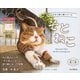 そとねこ―Masayuki Oki's the Free-roaming Cats(こだわり塗り絵シリーズ) [単行本]