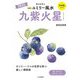 九星別ユミリー風水〈2025〉九紫火星 [文庫]