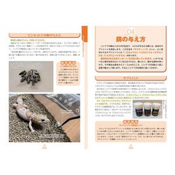 ヨドバシ.com - ニシアフリカトカゲモドキ大全―飼育・繁殖の基本