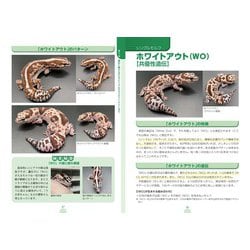 ヨドバシ.com - ニシアフリカトカゲモドキ大全―飼育・繁殖の基本