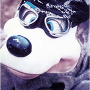 C.B.Jim