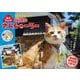 2025 猫城主 さんじゅーろーカレンダー－備中松山城 [カレンダー]