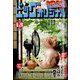 ビッグコミックオリジナル 2024年 8/20号 [雑誌]