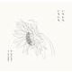 いちにちいちにち [単行本]
