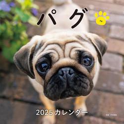 2025年カレンダー パグ(誠文堂新光社カレンダー) [カレンダー]