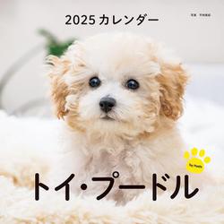 2025年カレンダー トイ・プードル(誠文堂新光社カレンダー) [カレンダー]