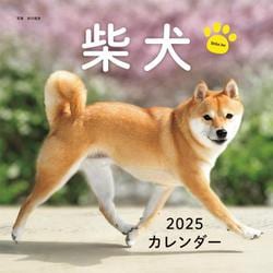 2025年カレンダー 柴犬(誠文堂新光社カレンダー) [カレンダー]