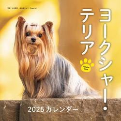 2025年カレンダー ヨークシャー・テリア(誠文堂新光社カレンダー) [カレンダー]