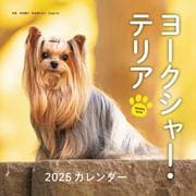 2025年カレンダー ヨークシャー・テリア(誠文堂新光社カレンダー) [カレンダー]