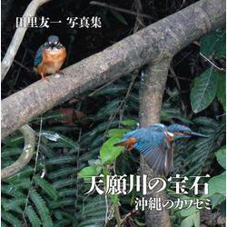 天願川の宝石　沖縄のカワセミ [単行本]