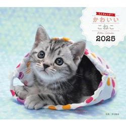 2025年カレンダー かわいいこねこ(誠文堂新光社カレンダー) [カレンダー]
