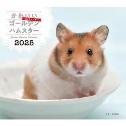 2025年カレンダー かわいいゴールデンハムスター(誠文堂新光社カレンダー) [カレンダー]