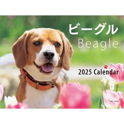 2025年カレンダー ワイド判　ビーグル(誠文堂新光社カレンダー) [カレンダー]