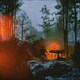 BIALYSTOCKS／Songs for the Cryptids