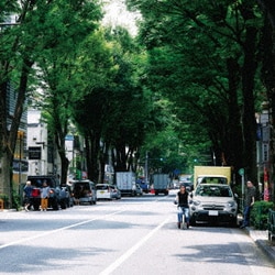 ストレイテナー／The Ordinary Road
