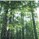 土方裕雄／あなたの朝が快適になるたったひとつの森ののおと。 - The Nature Sound for Good Morning  - [CD]