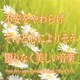 神山純一J.Project／不安をやわらげ そっと心によりそう限りなく美しい音楽