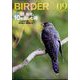 BIRDER （バーダー） 2024年 09月号 [雑誌]