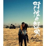 野性の証明 4K デジタル修復【HDR版】