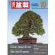 近代盆栽 2024年 10月号 [雑誌]