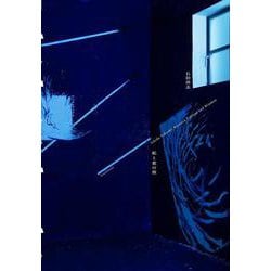 石田尚志 絵と窓の間－Ishida Takashi: Between Tableau and Window [単行本]