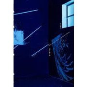 石田尚志 絵と窓の間－Ishida Takashi: Between Tableau and Window [単行本]