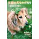 天国の犬ものがたり―ゆめのつづき(小学館ジュニア文庫) [新書]