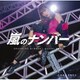 佐藤優樹／嵐のナンバー/花鳥風月 春夏秋冬