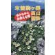木曽駒ヶ岳の高山植物－歩きながら出会える順 [図鑑]