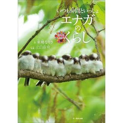 エナガのくらし―いつも仲間といっしょ(命のつながり〈7〉) [単行本]