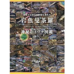 岩魚曼荼羅―神秘のイワナ図鑑 [単行本]