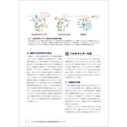 ヨドバシ.com - リアルな相互作用を捉える近接依存性標識