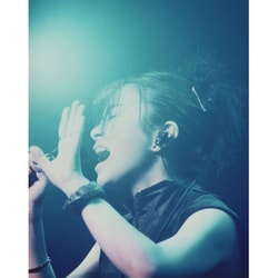 宇多田ヒカル／HIKARU UTADA LIVE CHRONICLES Luv Live (1999) [Blu-ray Disc]