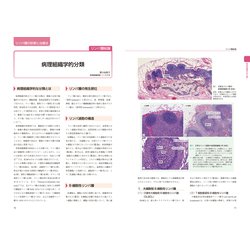 新 伴侶動物治療指針 3 : リンパ腫の診断・治療法