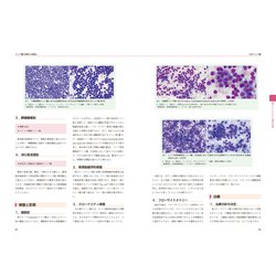 新 伴侶動物治療指針 3 : リンパ腫の診断・治療法