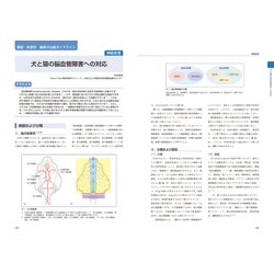 新 伴侶動物治療指針 3 : リンパ腫の診断・治療法