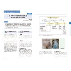 ◆裁断済 新 伴侶動物治療指針 3 : リンパ腫の診断・治療法と臓器・疾患別 最 ヨドバシ.com - 新 伴侶動物治療指針 3-リンパ腫の診断・治療法