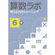 算数ラボ 考える力のトレーニング6級 [単行本]