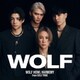 WOLF HOWL HARMONY from EXILE TRIBE／WOLF