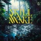 PassCode／SKILLAWAKE