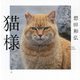 猫様 [単行本]